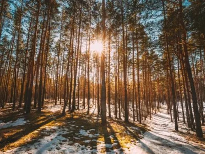 400:300?src=%2 Fimages%2 Fnews%2 Fcanva-MAFE-8RD Vu0 300 400 img