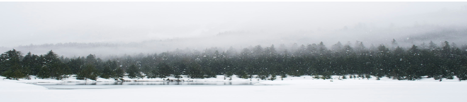 snow covered frozen lake with trees and hills covered in fog in the back ground